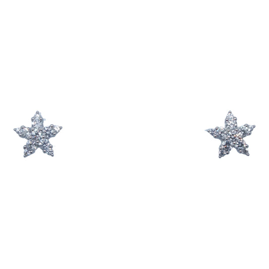 Flower Silver Earrings - حلق فضة فله